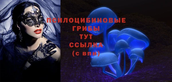 ПСИЛОЦИБИНОВЫЕ ГРИБЫ Навашино