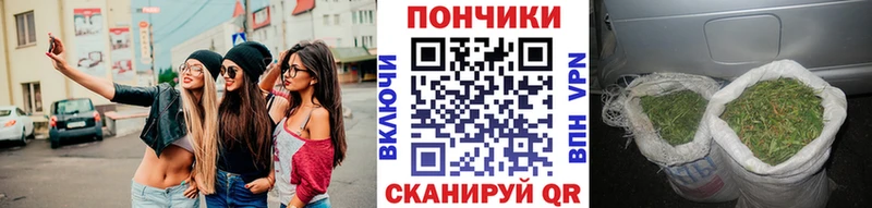Шишки марихуана сатива Ильский